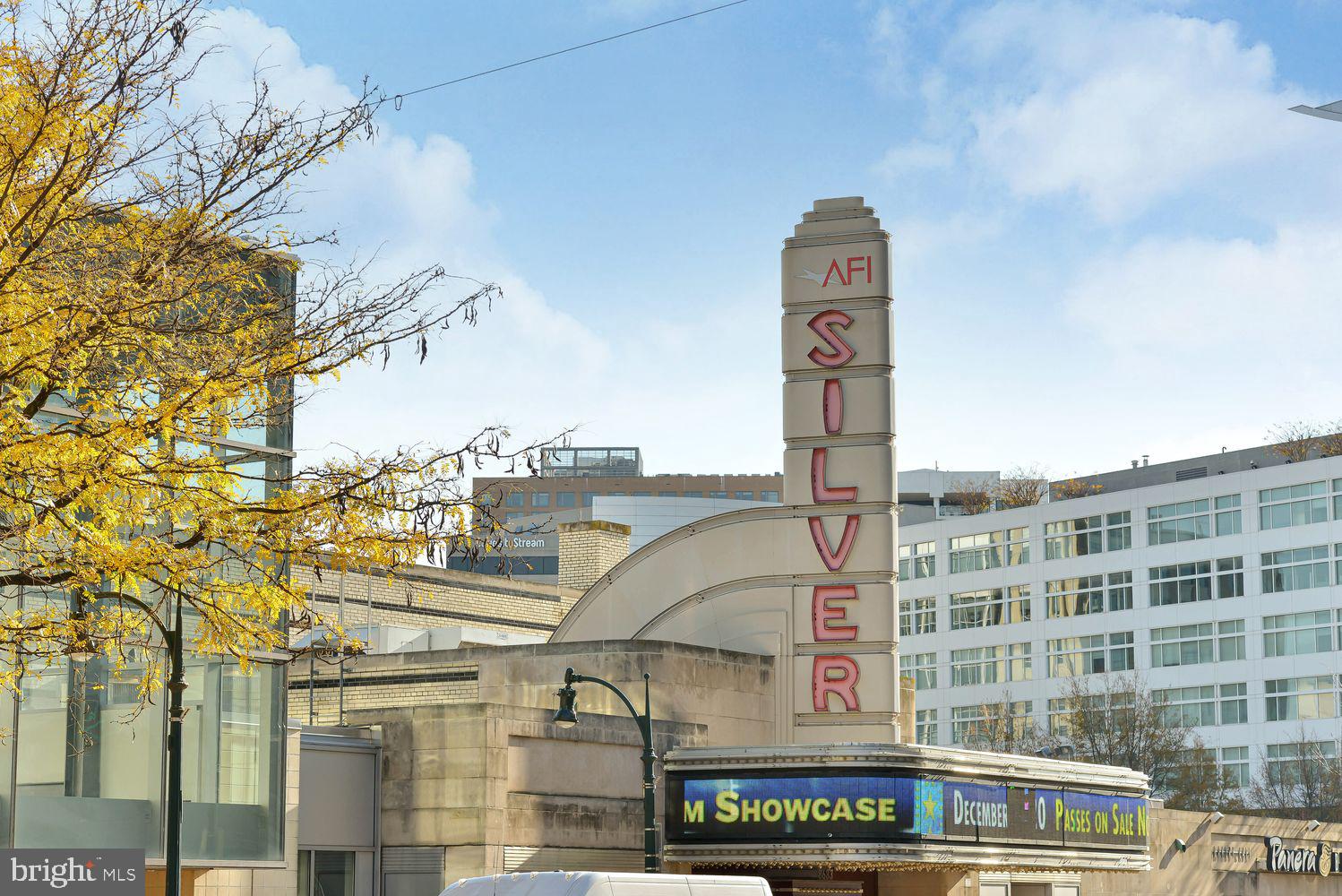 300 Highview Avenue Silver Spring, MD 20901 - Photo 37 of 47