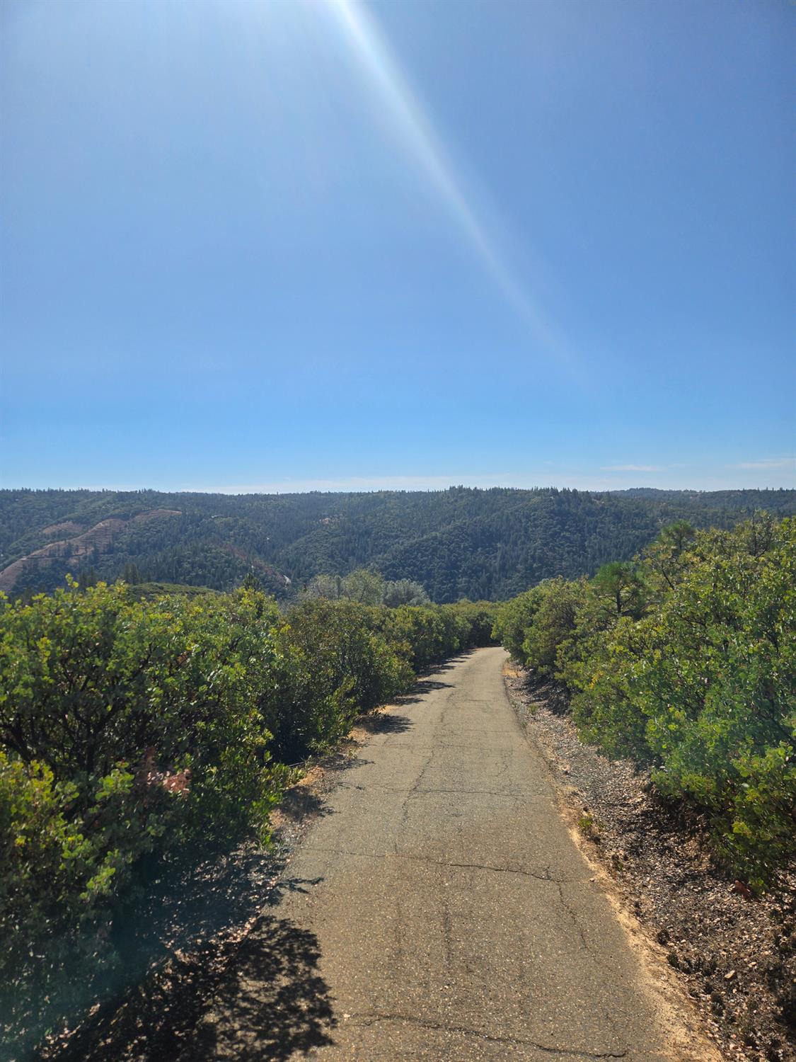 0 Mule Skinner Road Placerville, CA 95667 - Photo 20 of 28 Gallery Image 20