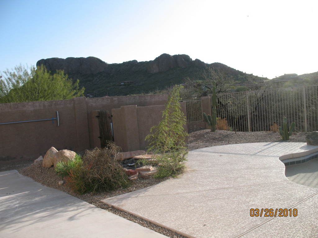 4310 South Strong Box Road Gold Canyon, AZ 85118 - Photo 12 of 15 Back