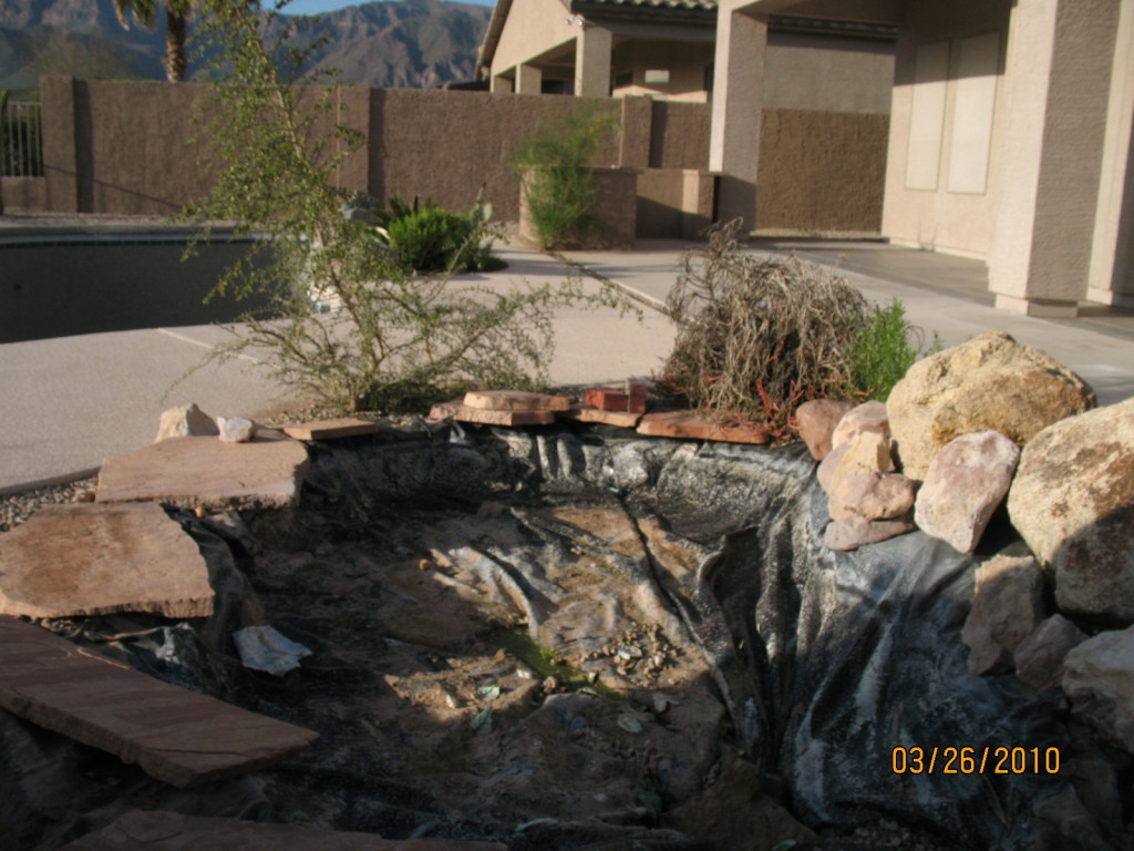 4310 South Strong Box Road Gold Canyon, AZ 85118 - Photo 15 of 15 Back