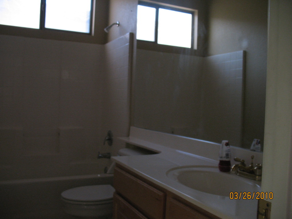 4310 South Strong Box Road Gold Canyon, AZ 85118 - Photo 10 of 15 Bathroom