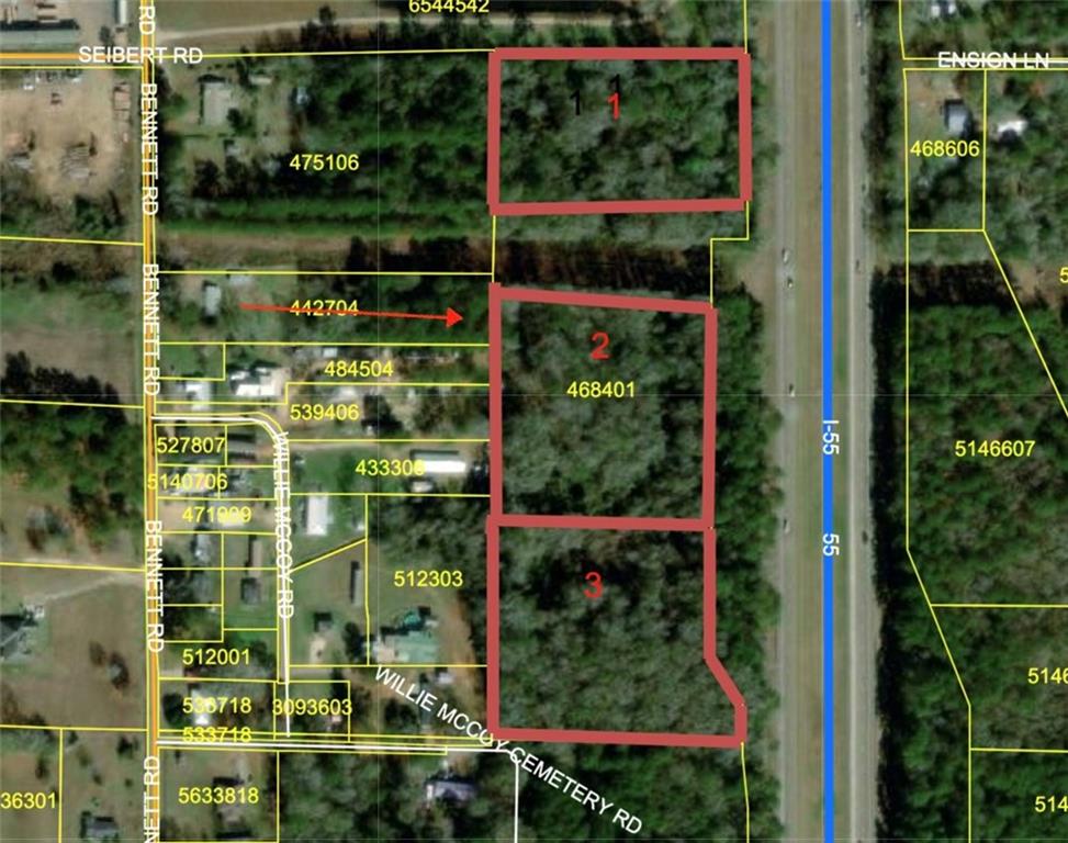 2 Willie McCoy Road Amite, LA 70422 - Photo 2 of 5 Gallery Image 2