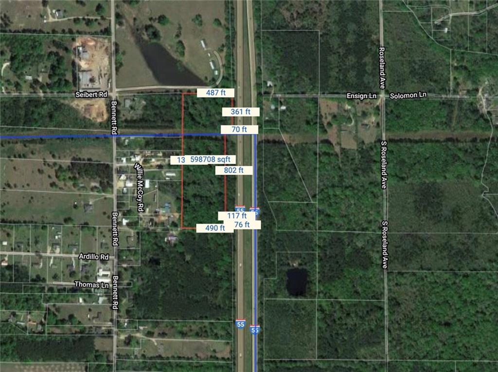 2 Willie McCoy Road Amite, LA 70422 - Photo 3 of 5 Gallery Image 3