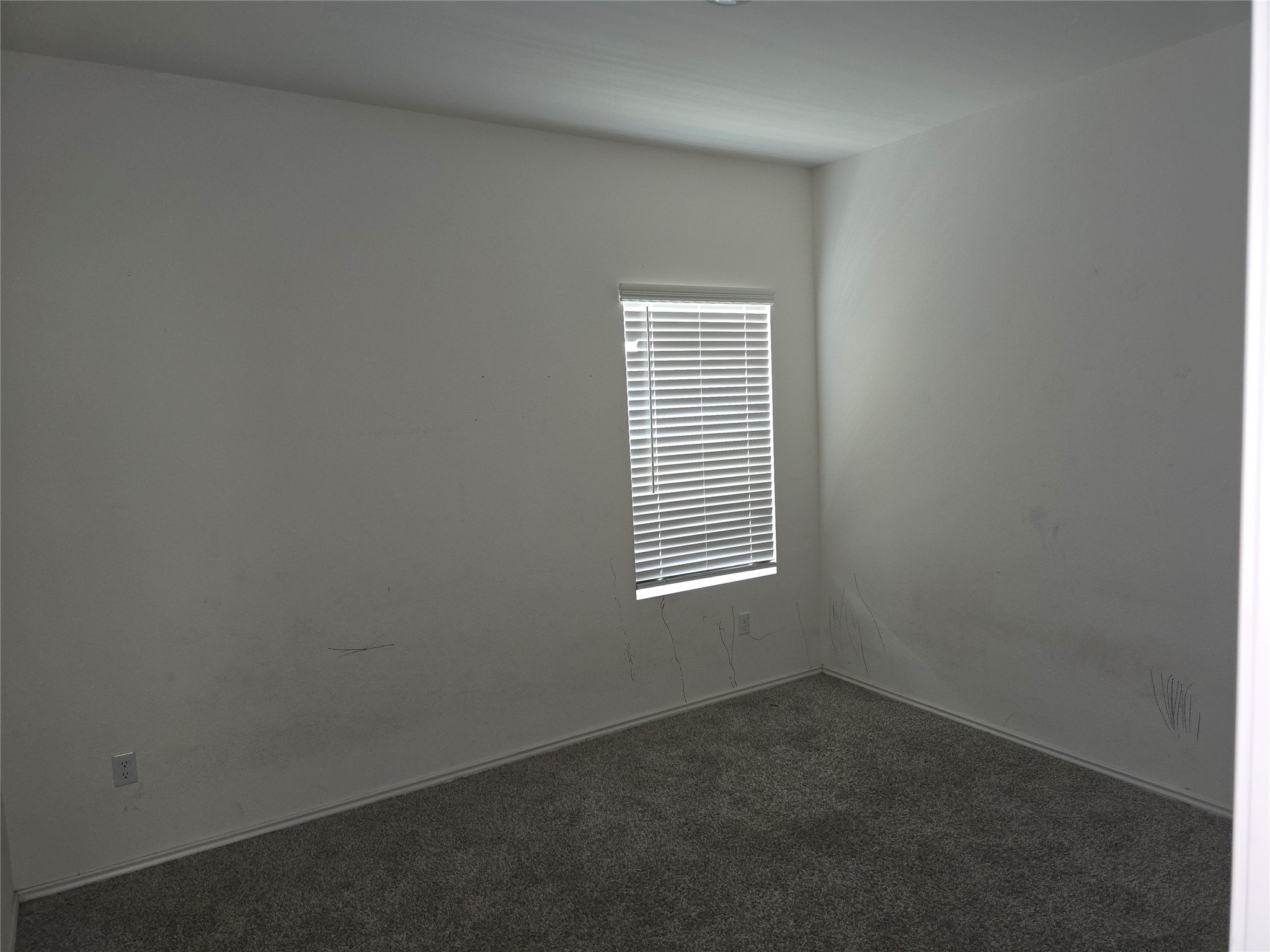 720 Mallow Road Leander, TX 78641 - Photo 13 of 16
