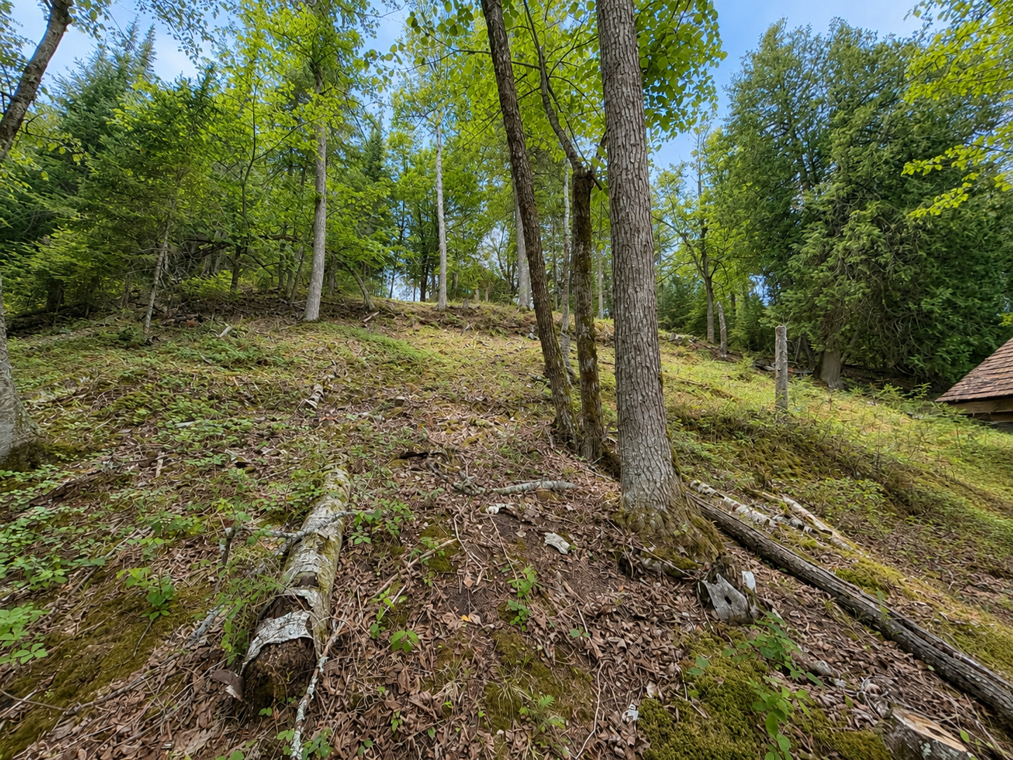 50573 Evergreen Point Road Bigfork, MN 56628 - Photo 44 of 47