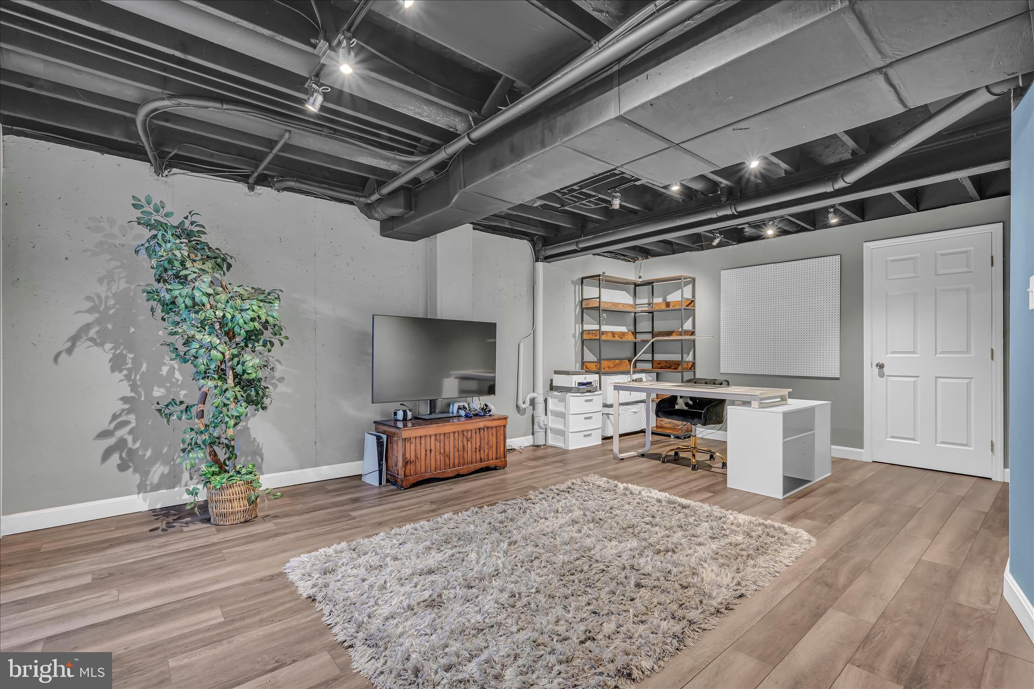 247 Bainbridge Circle Reading, PA 19608 - Photo 19 of 30 a living room with furniture and a potted plant
