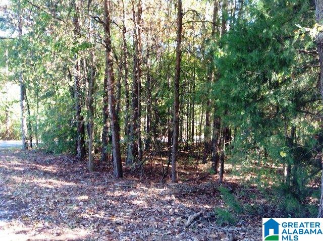 0 Whispering Pines Road, Unit 1 AMD 2 Oxford, AL 36203 - Photo 10 of 30