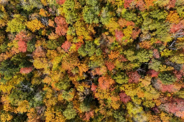 $409,000 | 95 Ruksznis Lane, Monson, ME 04464