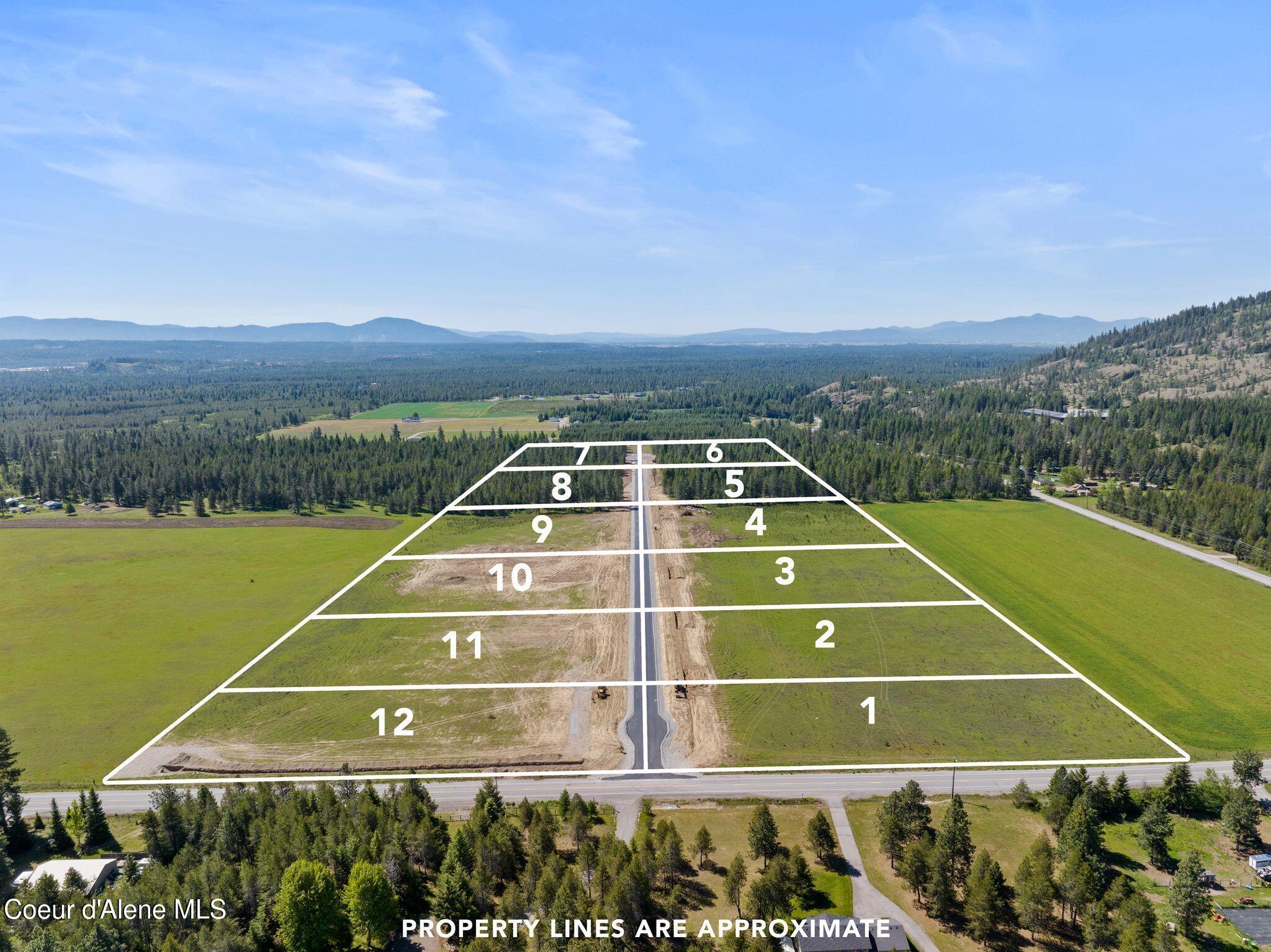 3 Ellington Court Rathdrum, ID 83858 - Photo 18 of 21 Aerial