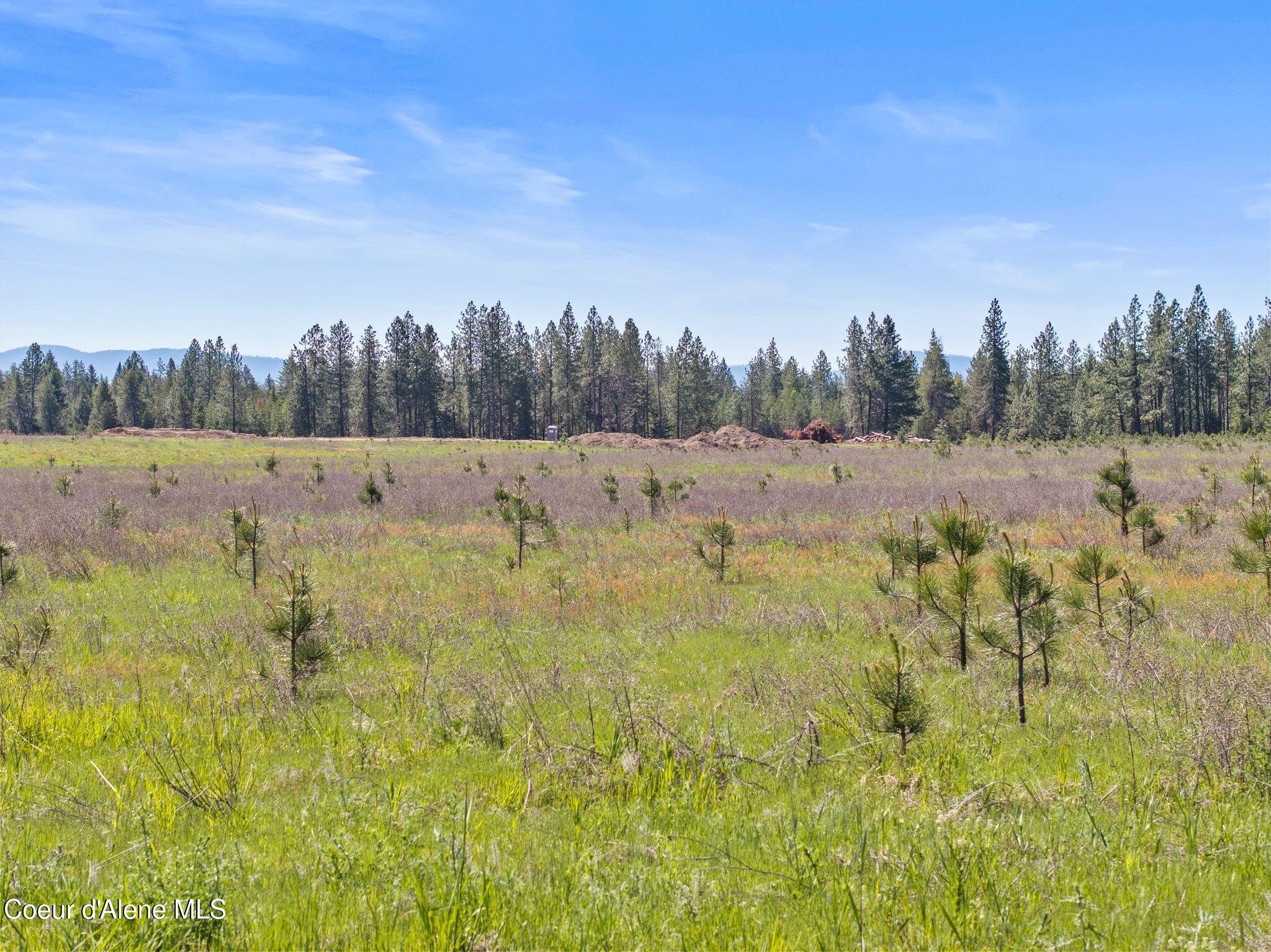3 Ellington Court Rathdrum, ID 83858 - Photo 20 of 21 aerial