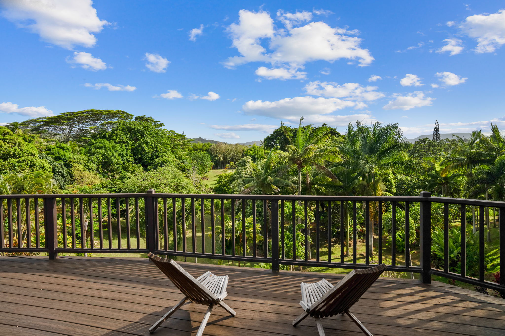 7473 E Koolau Road Kilauea, HI 96754 - Photo 18 of 30 a view of a balcony with wooden floor