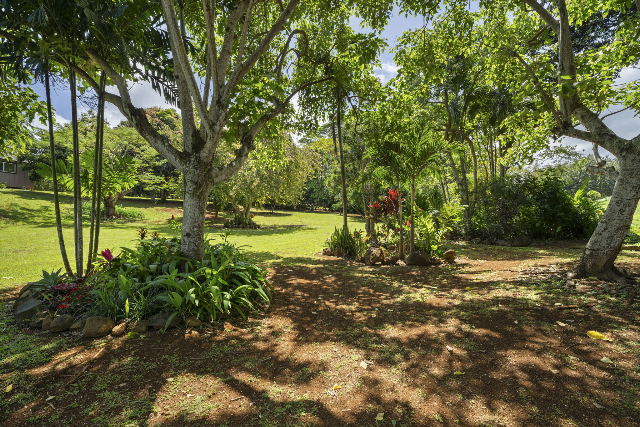 7473 E Koolau Road Kilauea, HI 96754 - Photo 23 of 30 a view of a yard with plants and large trees
