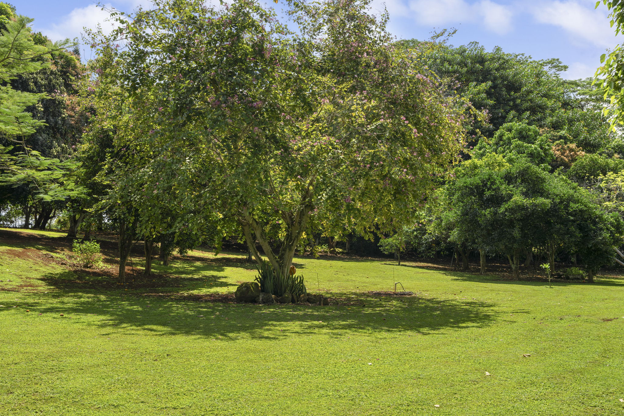 7473 E Koolau Road Kilauea, HI 96754 - Photo 27 of 30 a view of a park