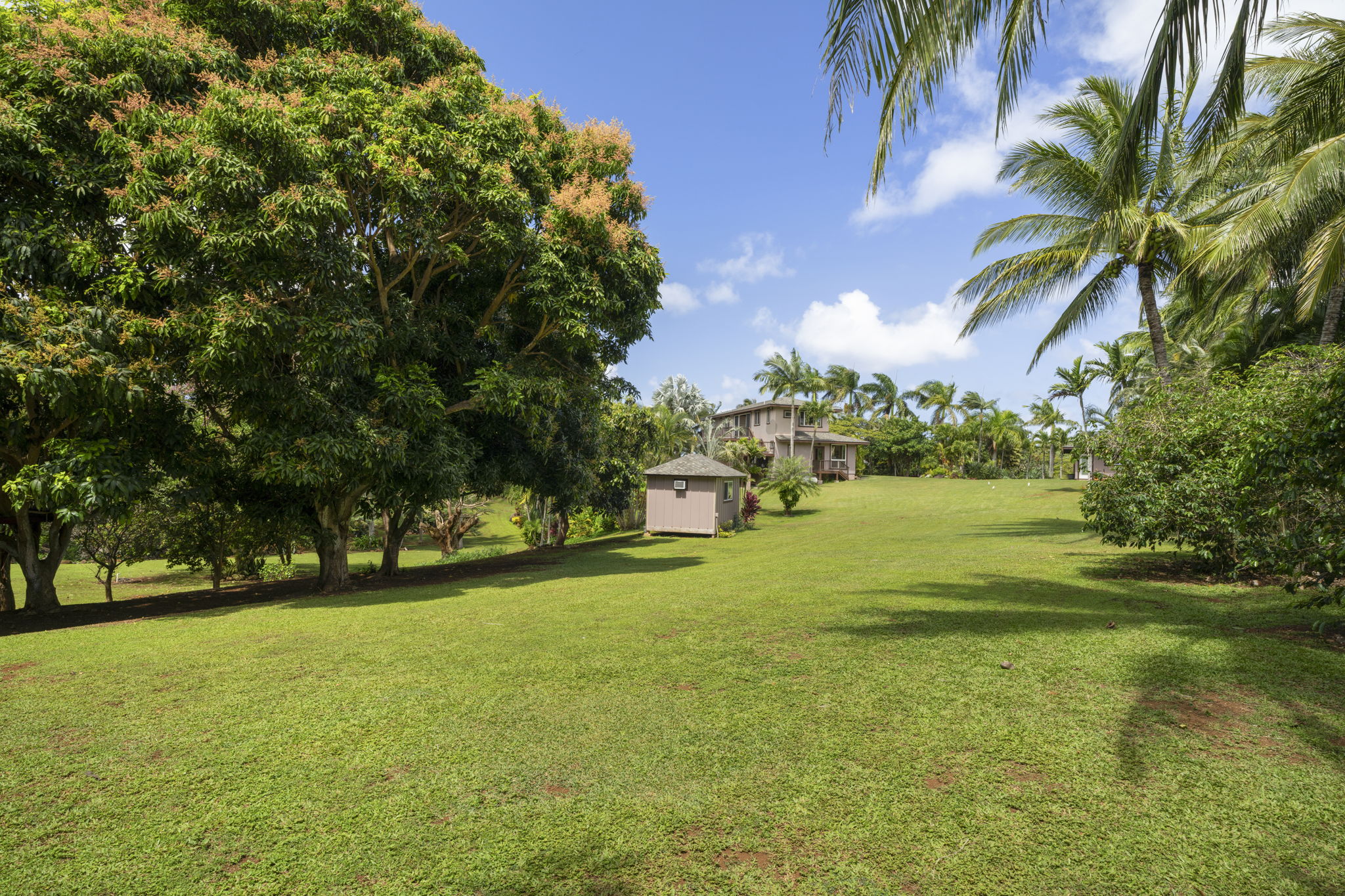 7473 E Koolau Road Kilauea, HI 96754 - Photo 29 of 30 a front view of a house with a yard and trees