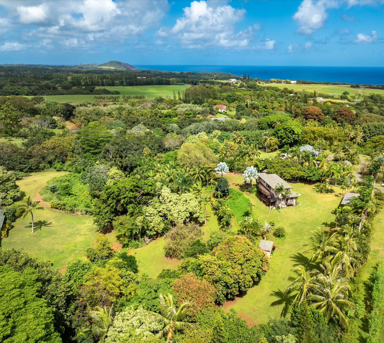 7473 E Koolau Road Kilauea, HI 96754 - Photo 30 of 30 a view of a yard
