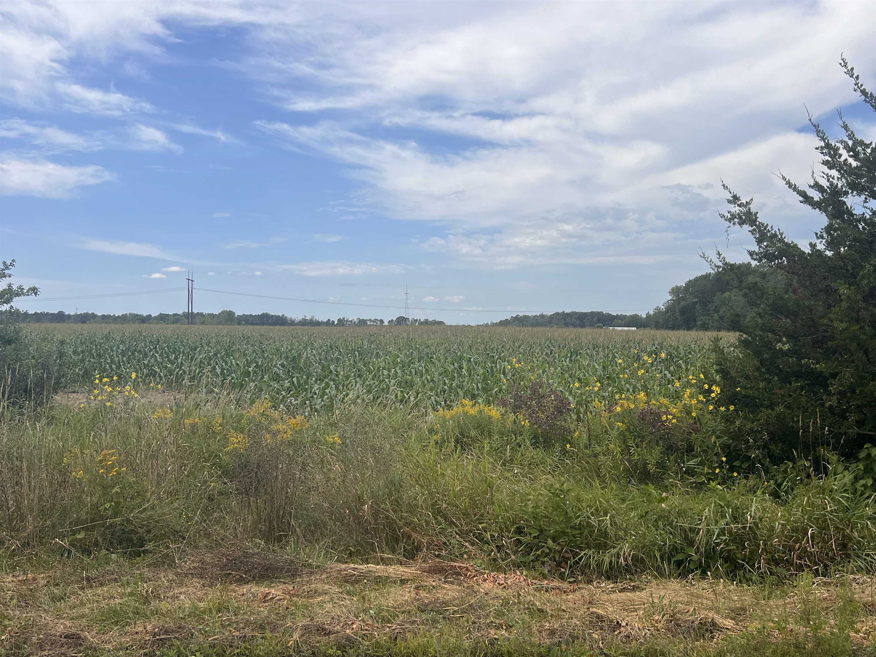 L1 3rd Avenue North Rudolph, WI 54475 - Photo 1 of 1