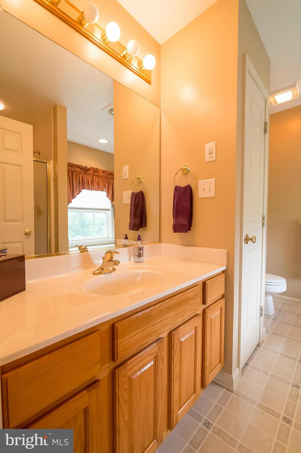 1900 Hoover Mill Road Manchester, MD 21102 - Photo 15 of 30 Master Bath, View 1