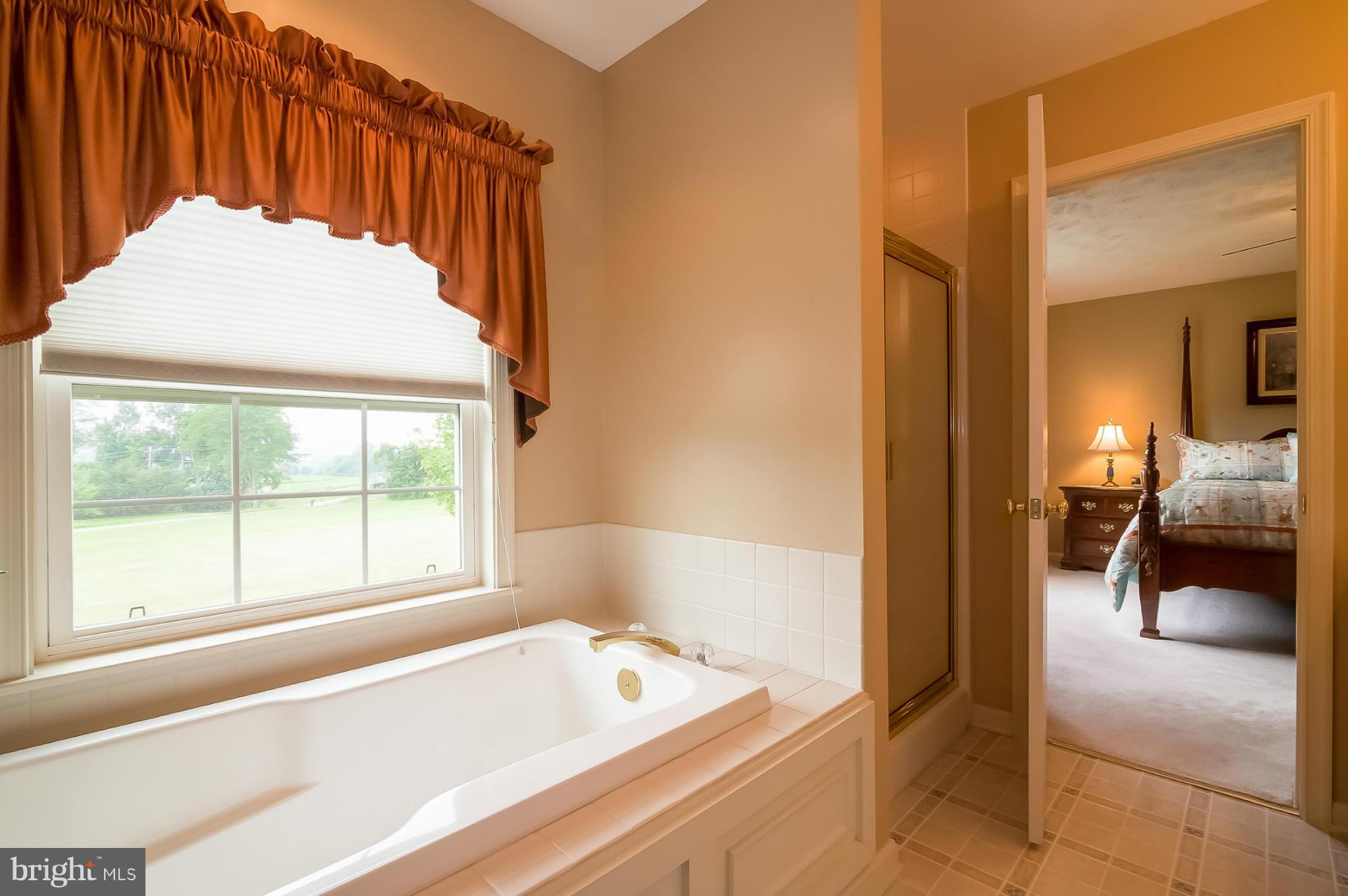 1900 Hoover Mill Road Manchester, MD 21102 - Photo 16 of 30 Master Bath, View 2