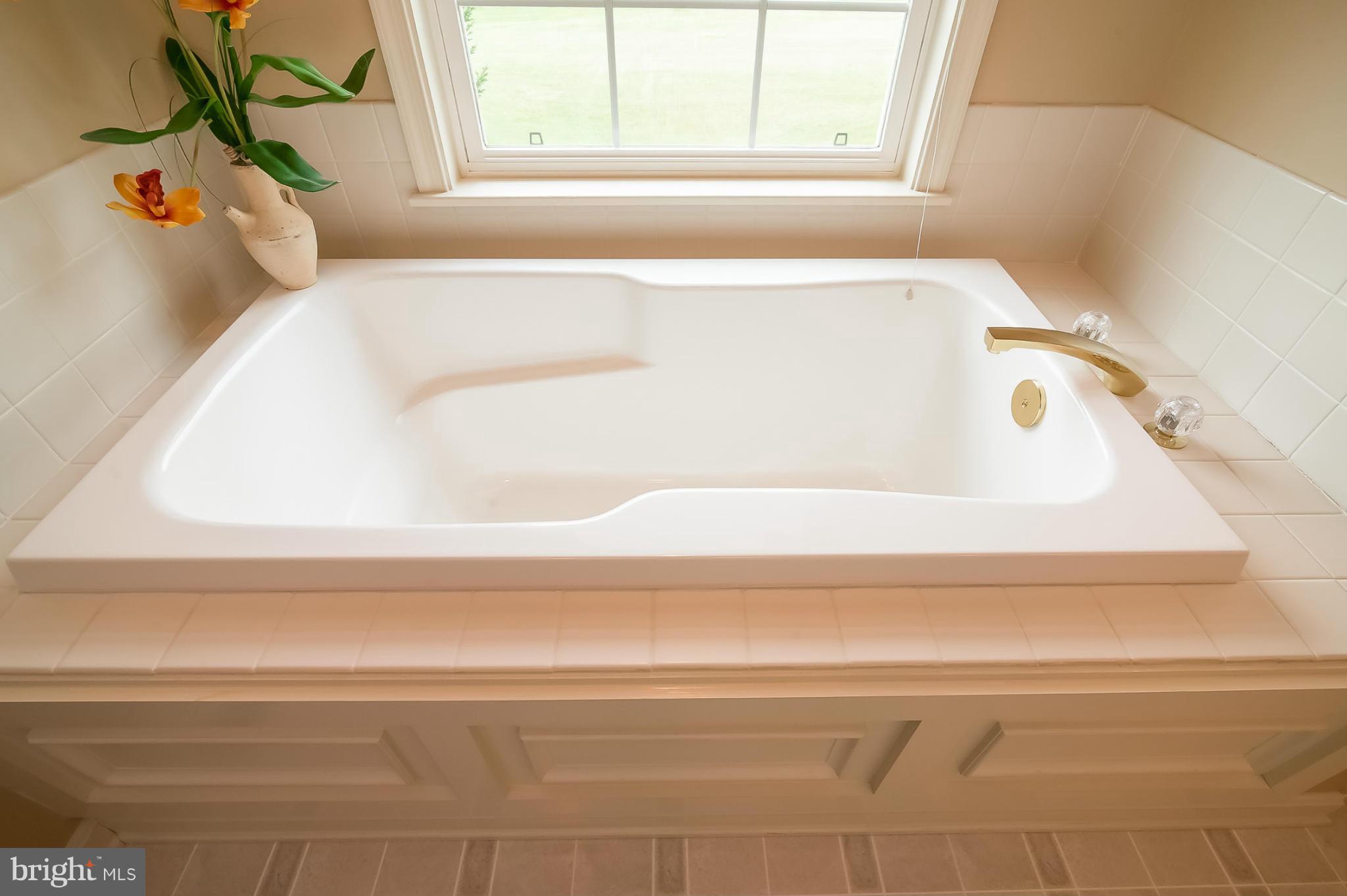 1900 Hoover Mill Road Manchester, MD 21102 - Photo 17 of 30 Melt your stress away in the soaking tub.