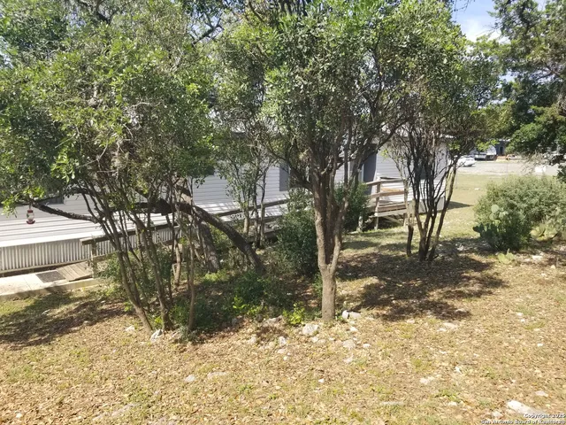 a view of a yard with plants and trees