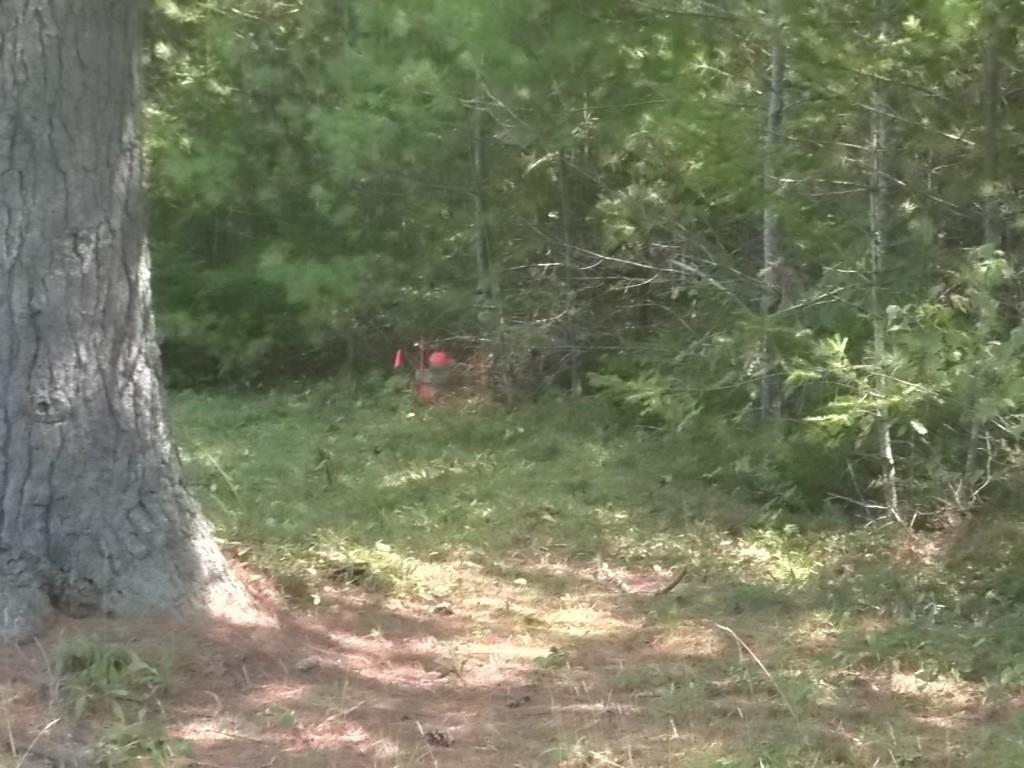 169 Indian Road Wiscasset, ME 04578 - Photo 8 of 12 Photo