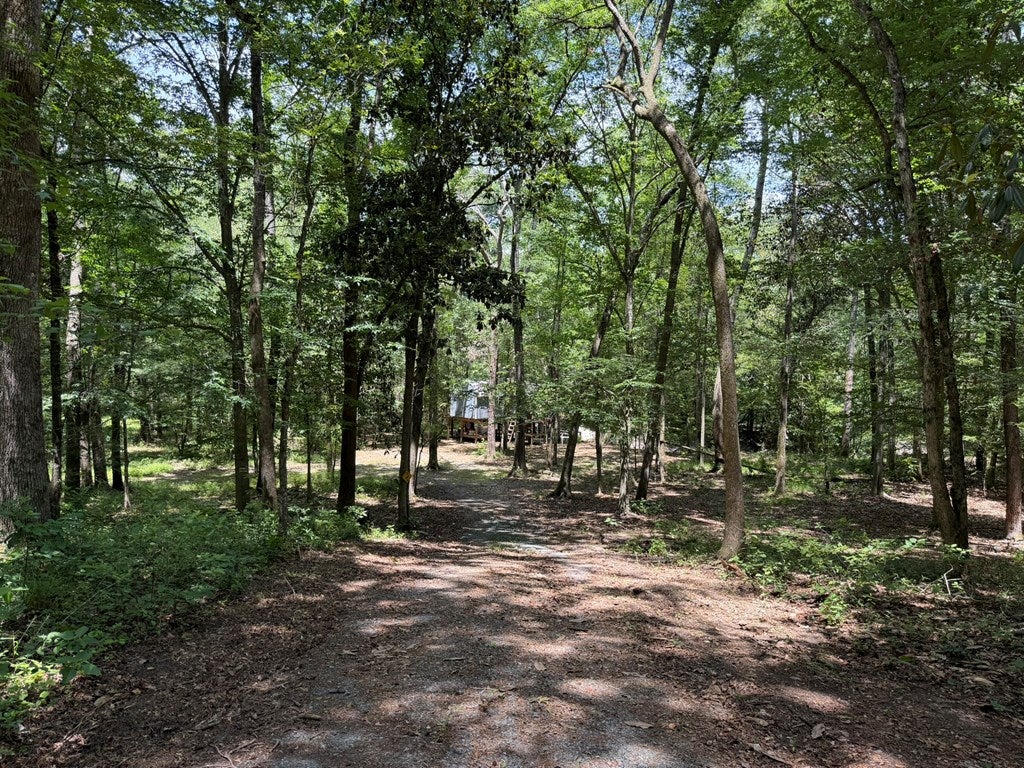 4574 Hadley Ferry Road Cairo, GA 39828 - Photo 23 of 51 Gallery Image 23