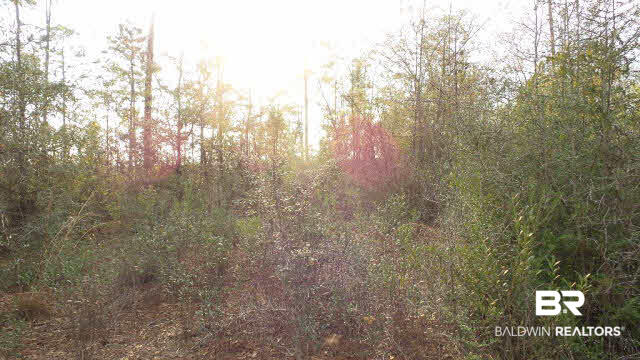 0 Lewis Road Titusville, FL 32796 - Photo 6 of 12 Gallery Image 6