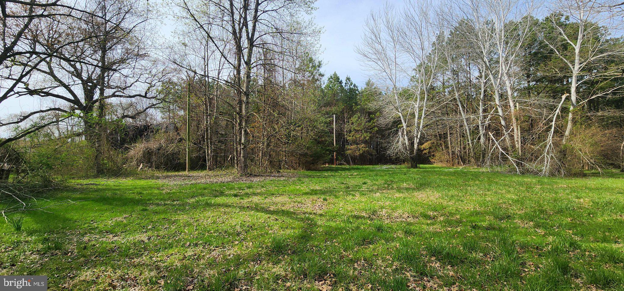 Lot 1 C Road Girdletree, MD 21829 - Photo 3 of 4 Serene green space awaits your vision.