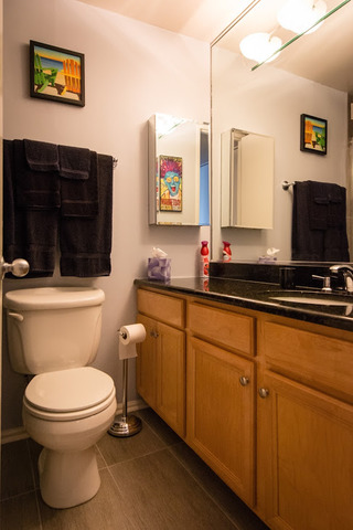 1030 North State Street, Unit 31J Chicago, IL 60610 - Photo 11 of 15