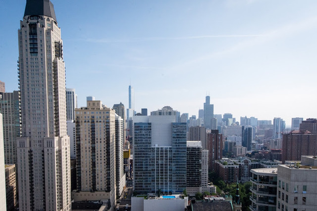 1030 North State Street, Unit 31J Chicago, IL 60610 - Photo 15 of 15