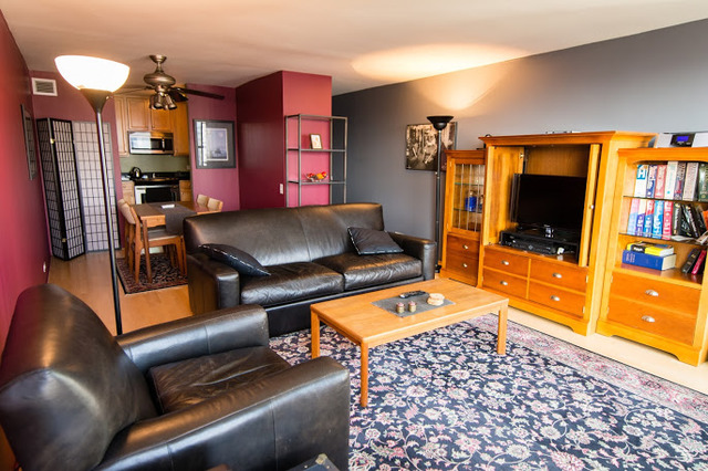 1030 North State Street, Unit 31J Chicago, IL 60610 - Photo 3 of 15