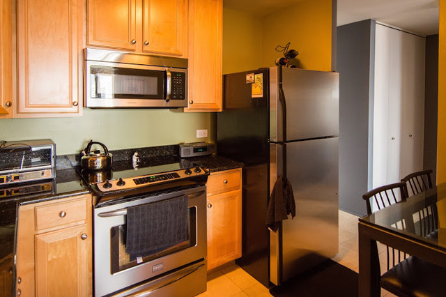 1030 North State Street, Unit 31J Chicago, IL 60610 - Photo 7 of 15