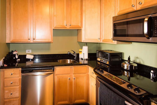 1030 North State Street, Unit 31J Chicago, IL 60610 - Photo 8 of 15