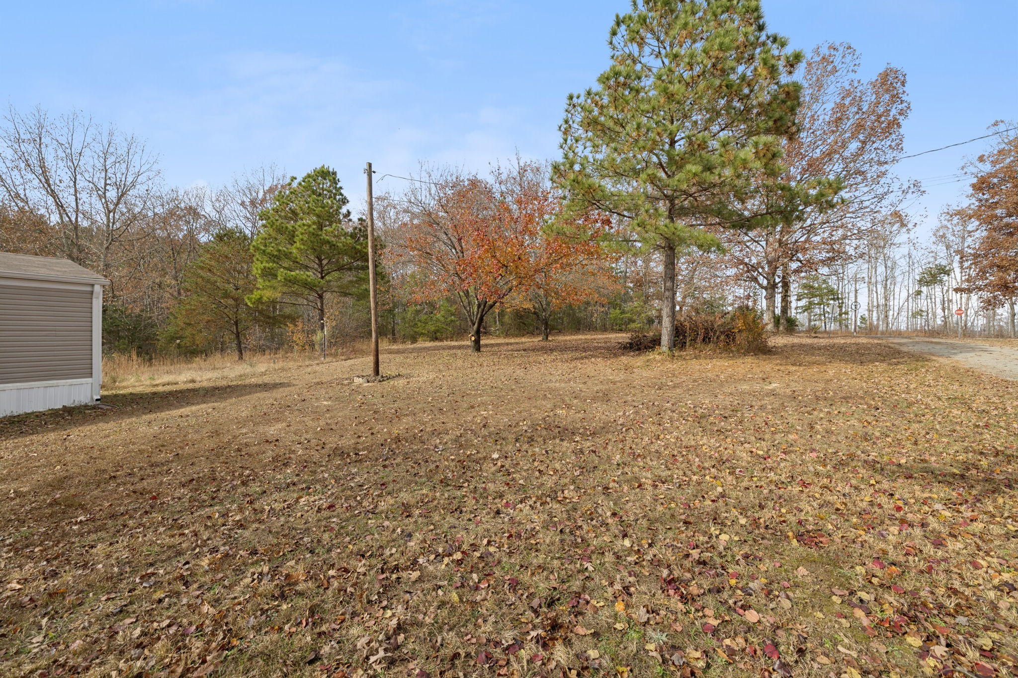 108 Lyell Road Hohenwald, TN 38462 - Photo 21 of 28 a view of outdoor space with trees