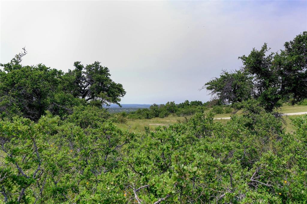 428 Summit Spring Lane Johnson City, TX 78636 - Photo 11 of 19 a view of a bunch of trees