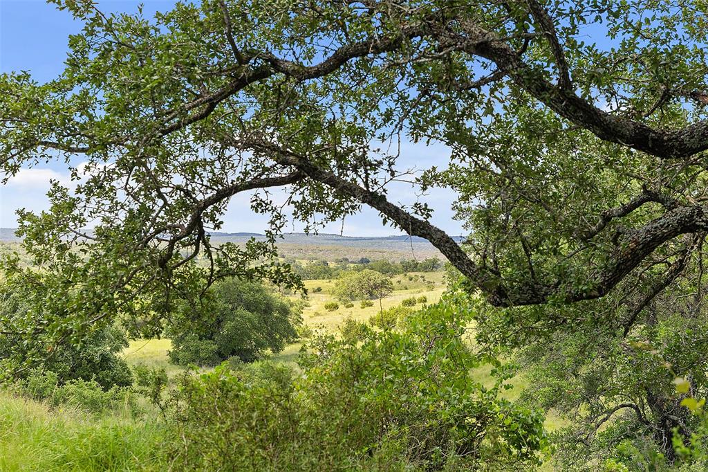 428 Summit Spring Lane Johnson City, TX 78636 - Photo 12 of 19 a view of yard