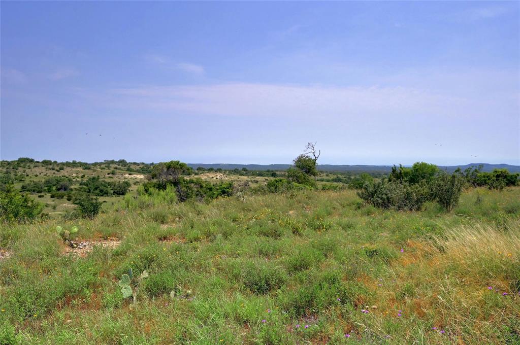 428 Summit Spring Lane Johnson City, TX 78636 - Photo 9 of 19 a view of a green field with lots of bushes
