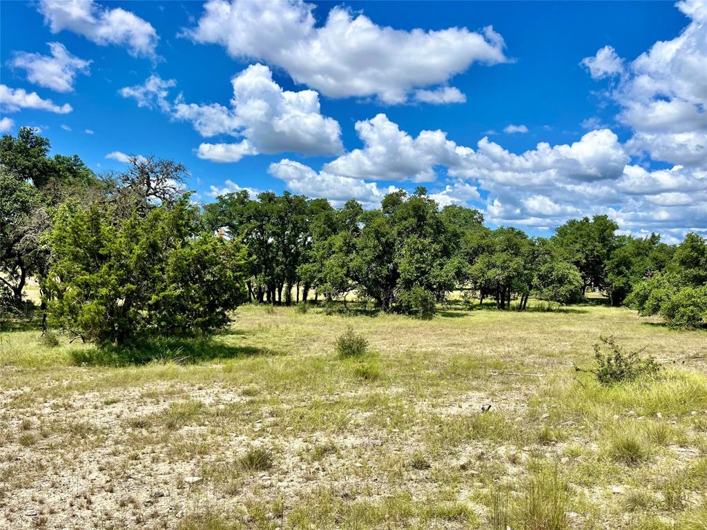 428 Summit Spring Lane Johnson City, TX 78636 - Photo 10 of 19 a view of big yard with an outdoor space and seating area