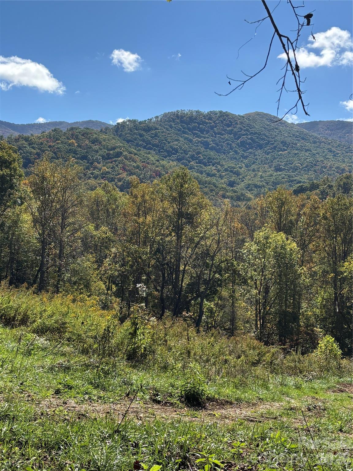 0 Cook Cove Road, Unit 2 Weaverville, NC 28787 - Photo 11 of 15