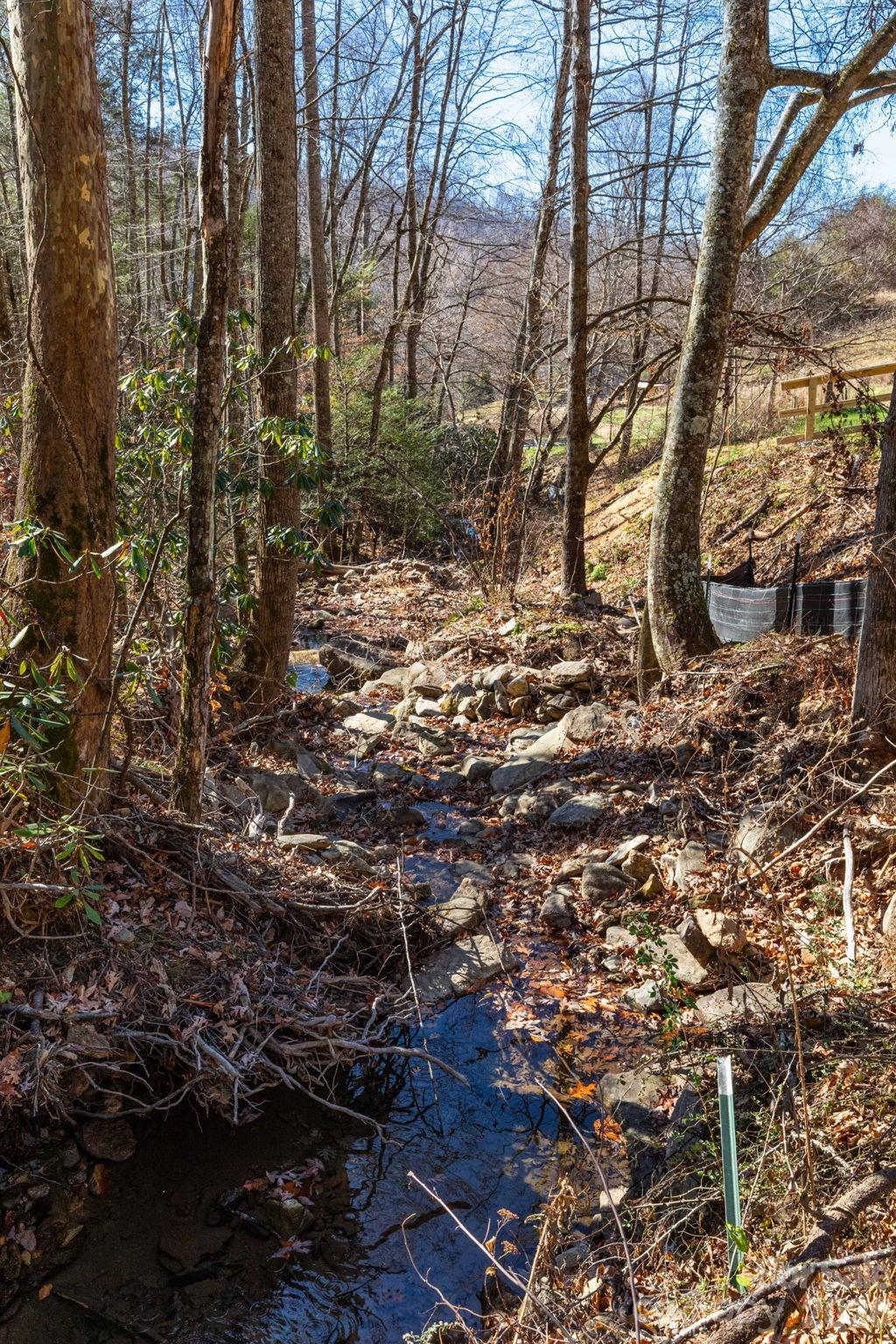 0 Cook Cove Road, Unit 2 Weaverville, NC 28787 - Photo 8 of 15