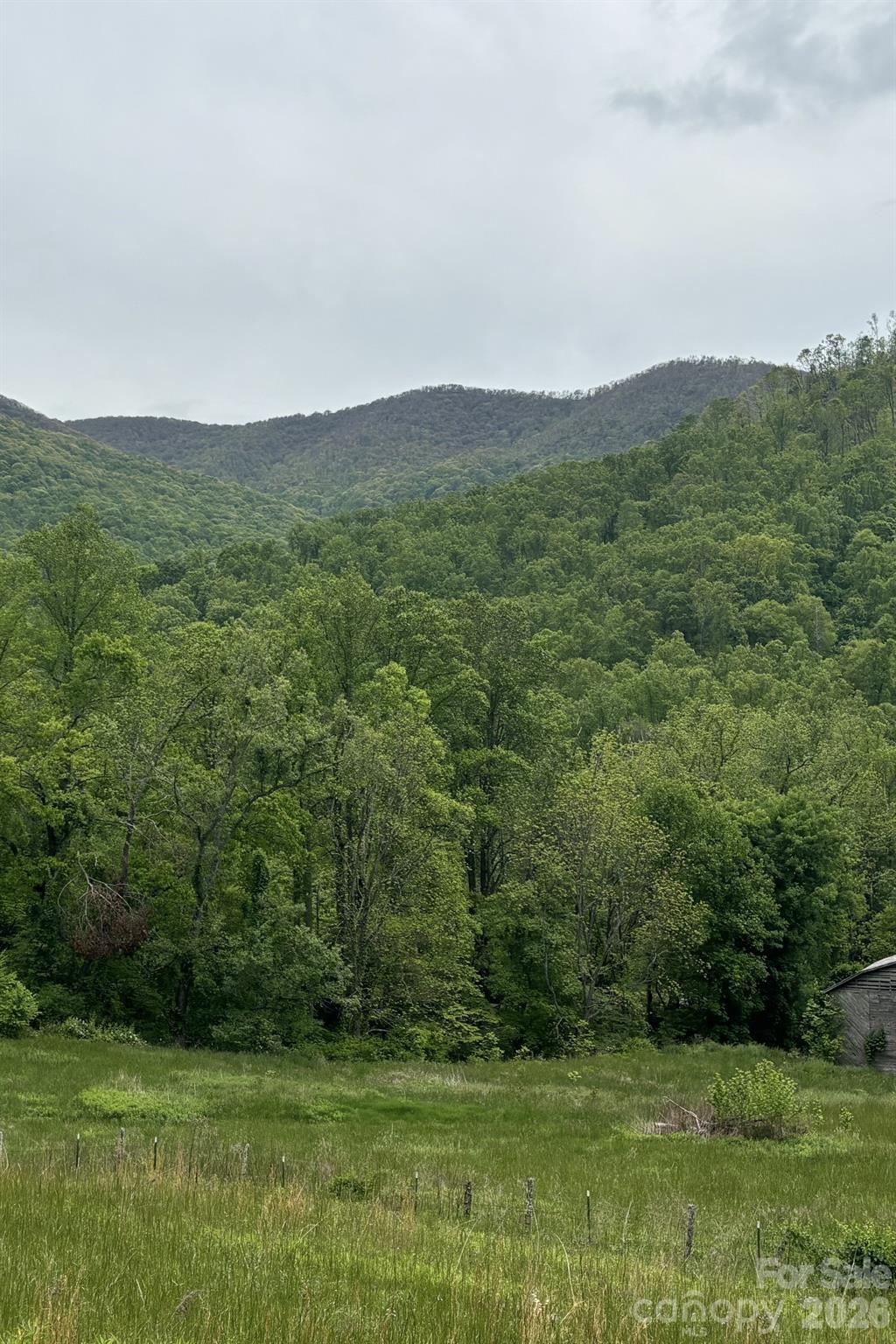 0 Cook Cove Road, Unit 2 Weaverville, NC 28787 - Photo 10 of 15