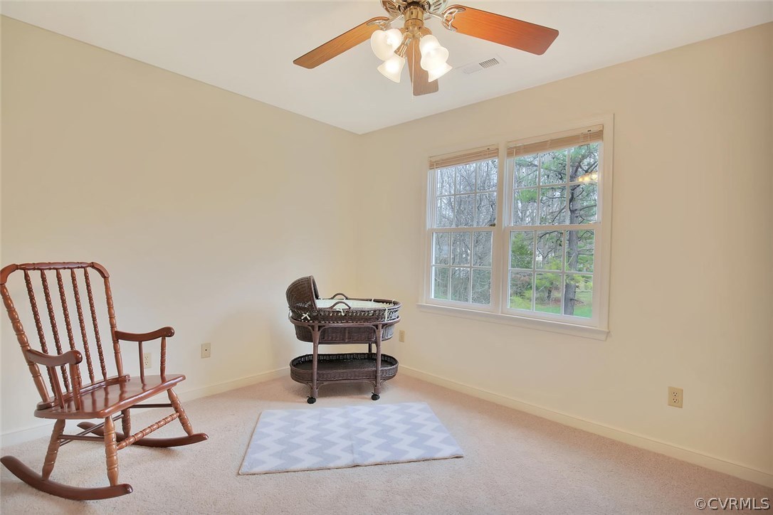 11918 Kilrenny Road Midlothian, VA 23113 - Photo 19 of 25 Gallery Image 19