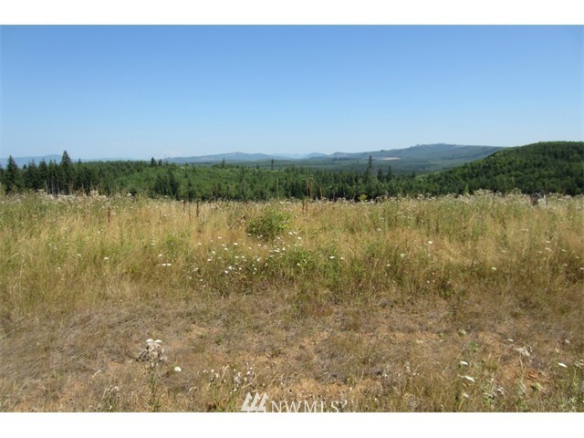36 Silver Ridge Castle Rock, WA 98611 - Photo 1 of 1 Gallery Image 1