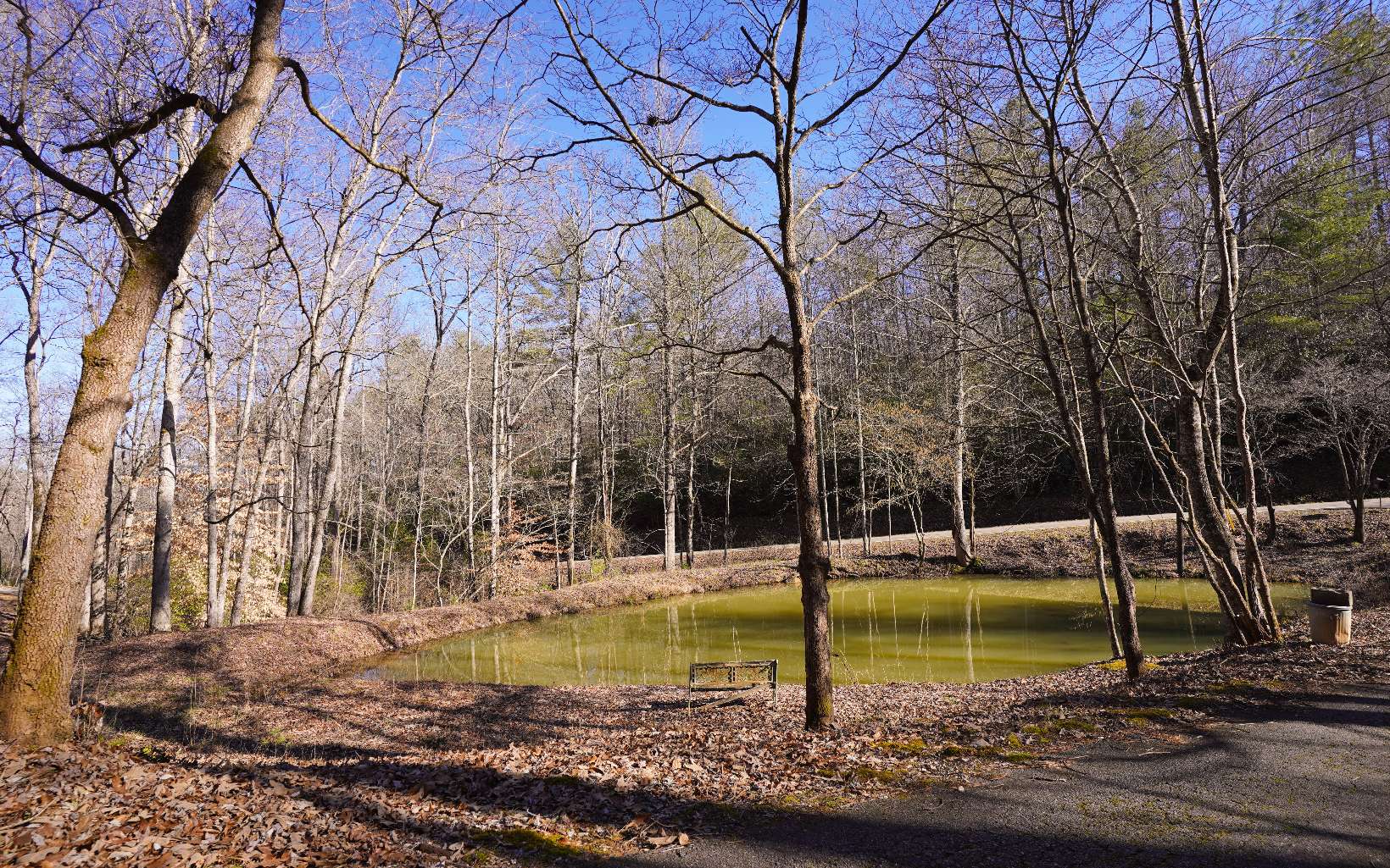 Lot D Dills Road Blue Ridge, GA 30513 - Photo 23 of 25 Additional View