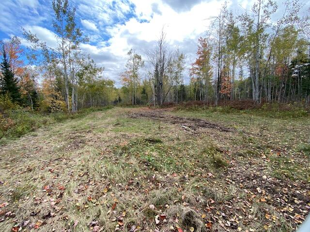 160 West Town Line Road Pickford, MI 49774 - Photo 7 of 7 Gallery Image 7