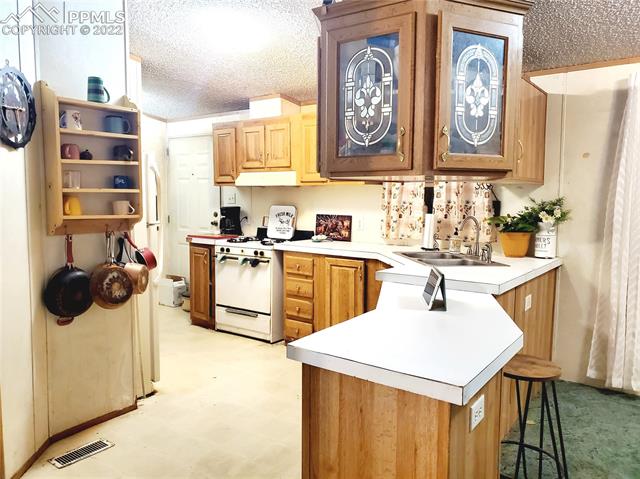 4573 Doe Valley Road Guffey, CO 80820 - Photo 13 of 37 Gallery Image 13