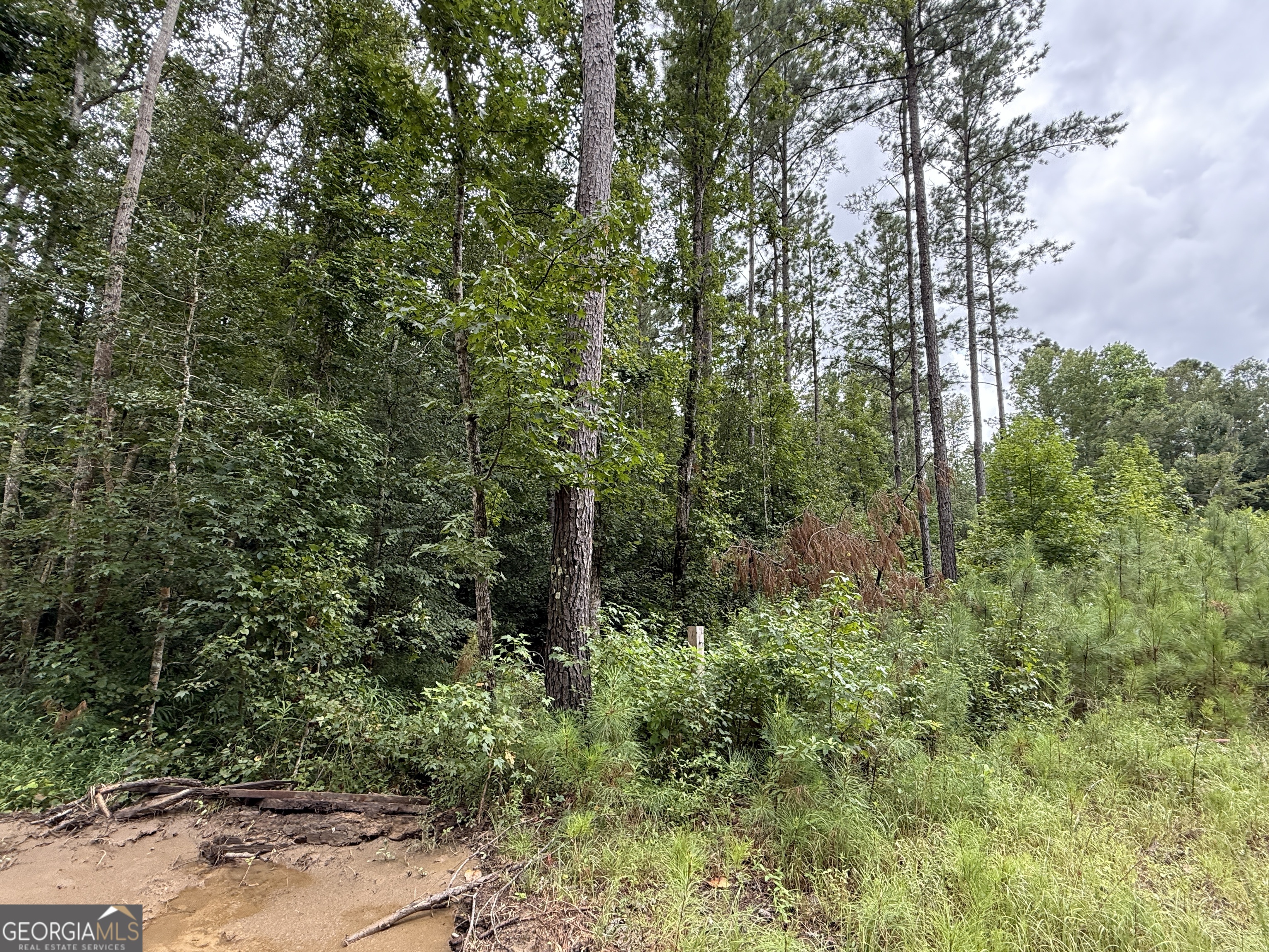 39.87-acres Irby Road Gibson, GA 30810 - Photo 42 of 56 Gallery Image 42