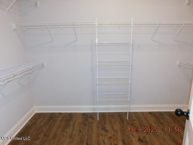 1544 Clair Circle South Hernando, MS 38632 - Photo 41 of 51 DSCN9372