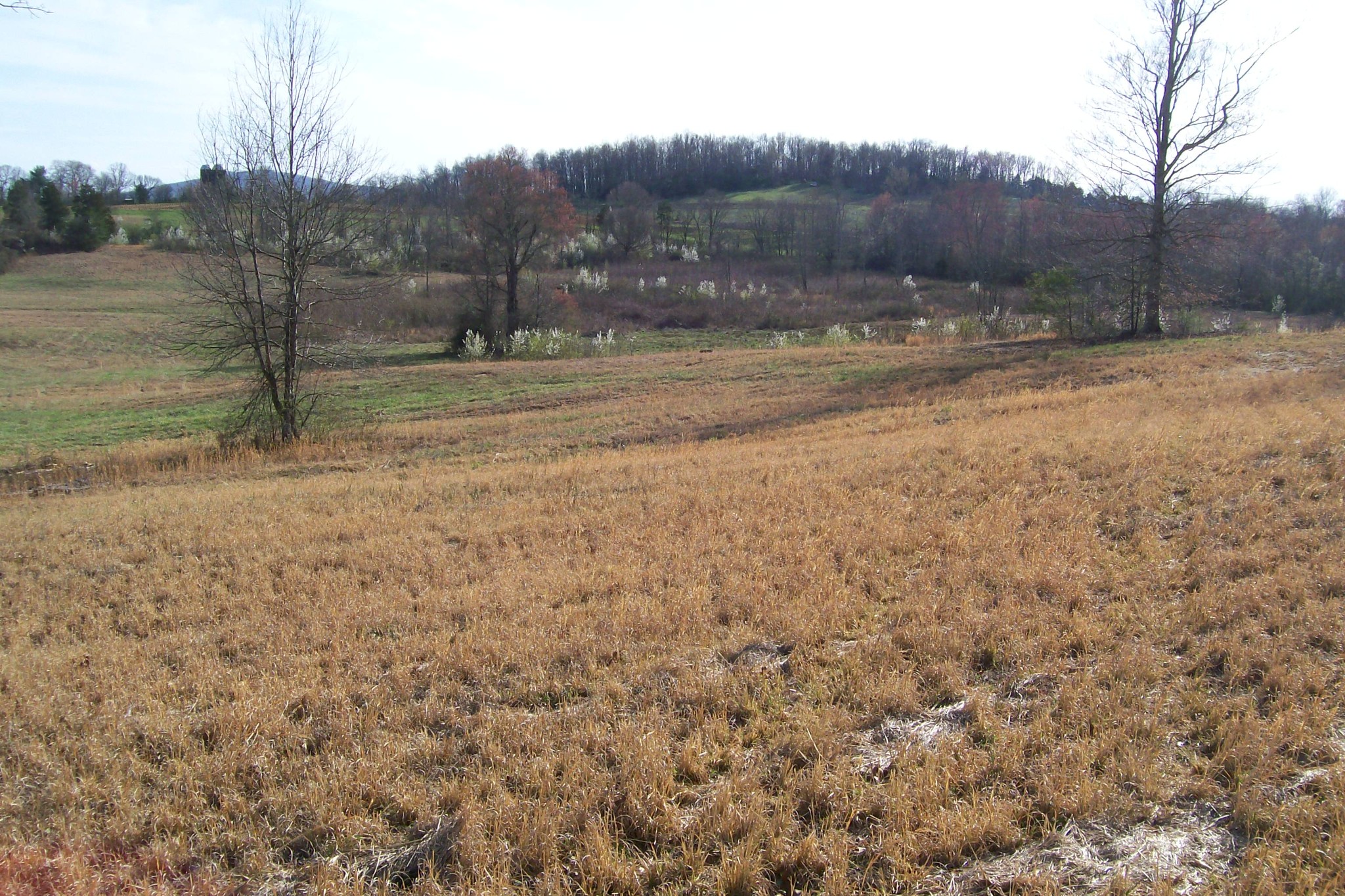 0 Rock Station Road Rock Island, TN 38581 - Photo 4 of 7