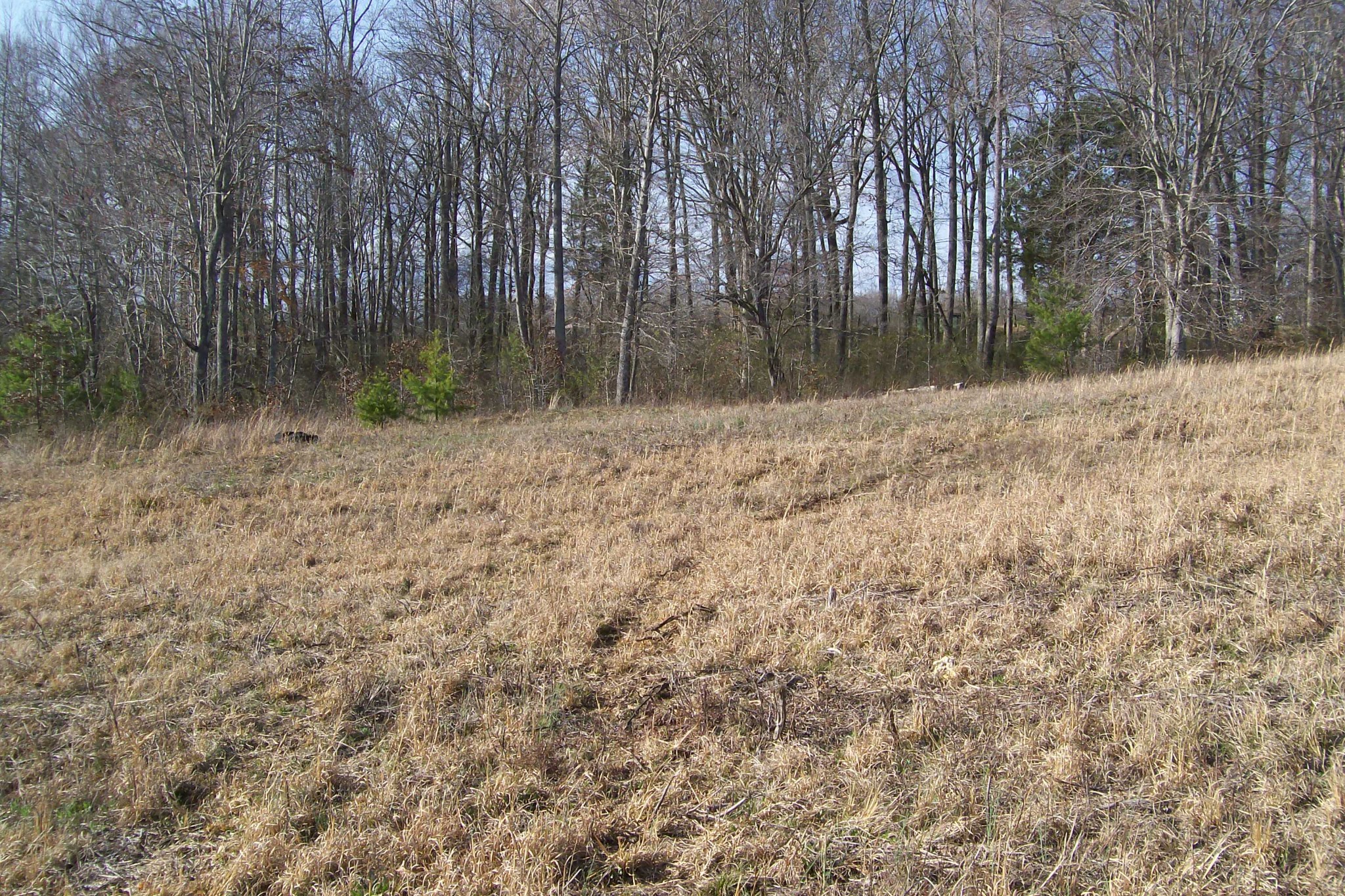 0 Rock Station Road Rock Island, TN 38581 - Photo 5 of 7